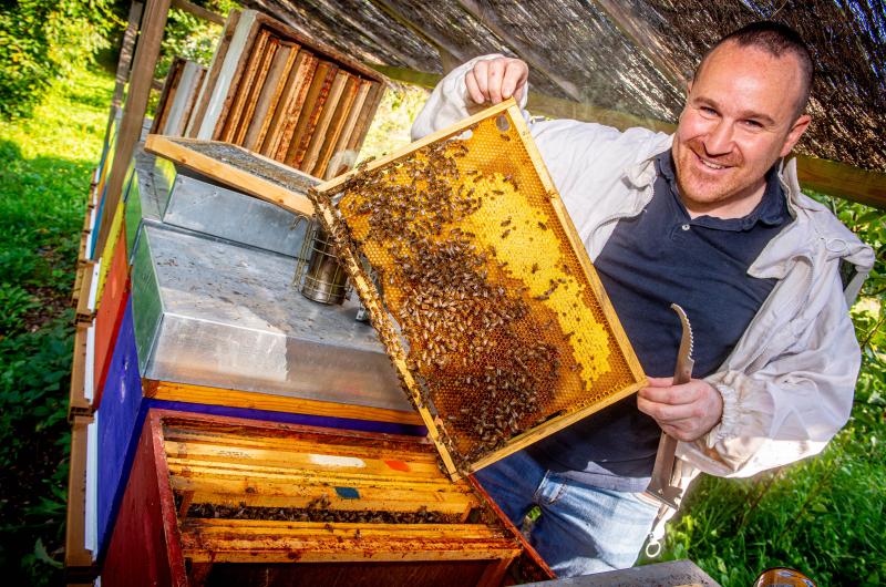 Apiculteur : Rucher du Chanteloup SRL - MICHEL - Danthinne - produits apicoles