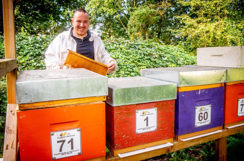 Apiculteur : Rucher du Chanteloup SRL - MICHEL - Danthinne - produits apicoles