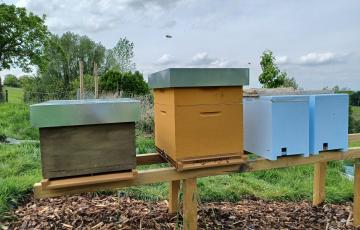 Le rucher des trois petits curés - Jonathan Bustin - Miel et produits de la ruche belges.